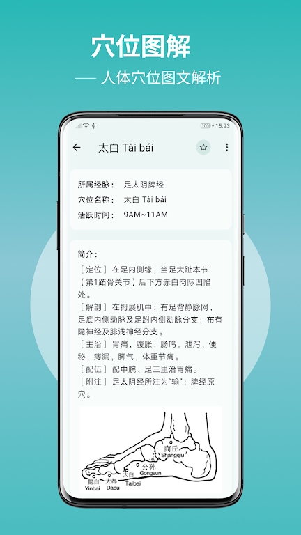 人体穴位图解免广告版软件图片1