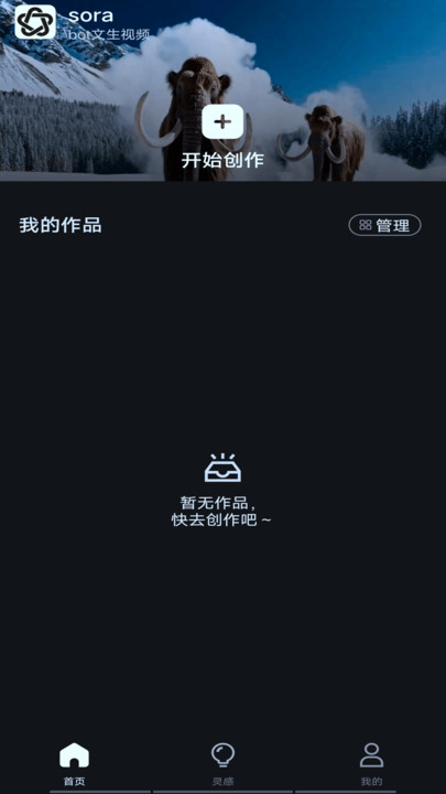 sorabot文生视频app免费版图2: