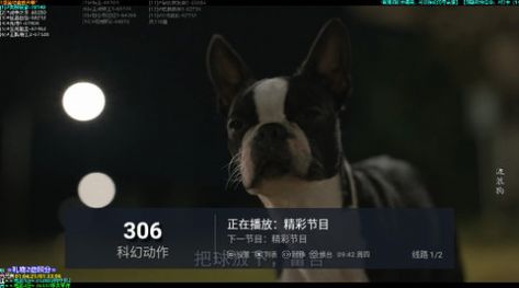 电视pro app官方版图1: