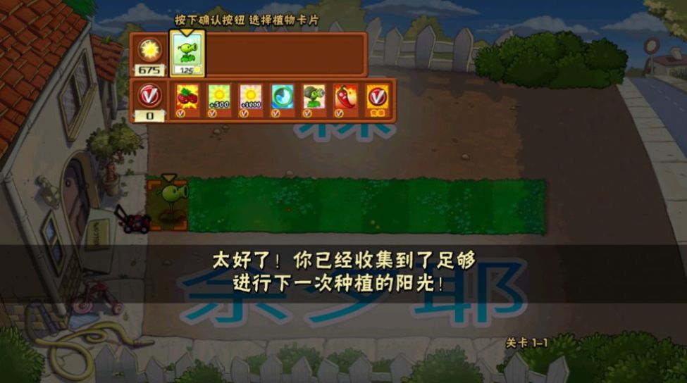 pvz夏版下载2024最新版图1: