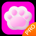 斑克猫语翻译pro app最新版 v1.0.0